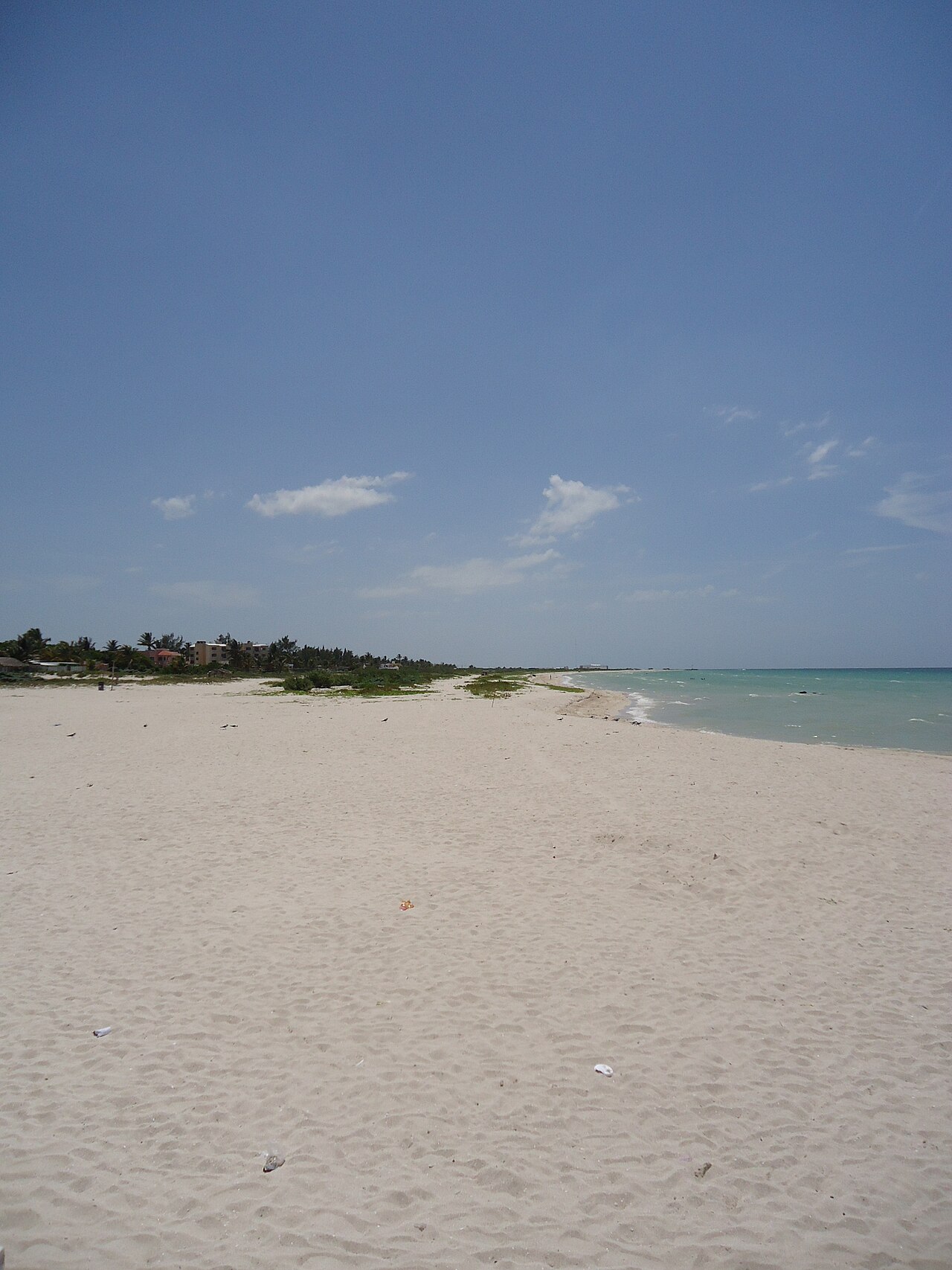Qué hacer en Sisal, Yucatán: actividades más allá de la playa